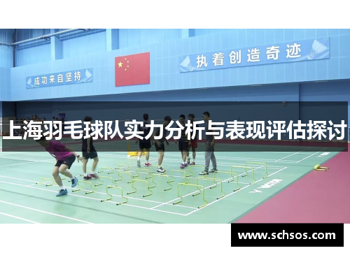 上海羽毛球队实力分析与表现评估探讨
