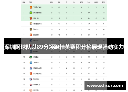 深圳网球队以89分领跑精英赛积分榜展现强劲实力