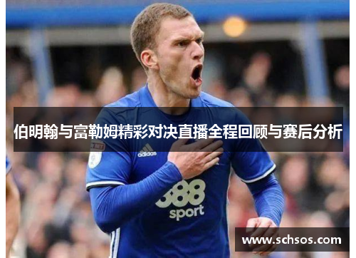 伯明翰与富勒姆精彩对决直播全程回顾与赛后分析