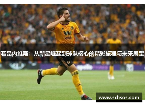 若昂内维斯：从新星崛起到球队核心的精彩旅程与未来展望