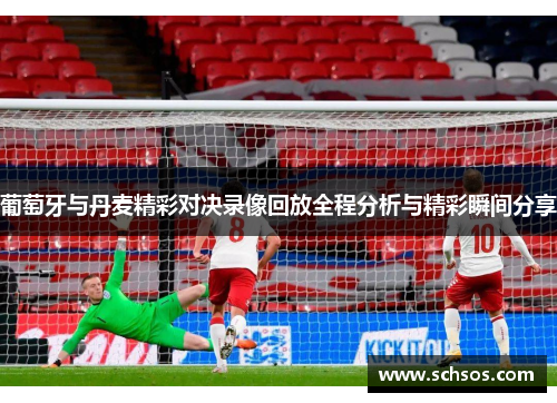 葡萄牙与丹麦精彩对决录像回放全程分析与精彩瞬间分享